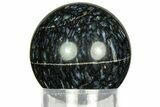 Polished, Black Petrified Palm Root Sphere - Indonesia #311562-1
